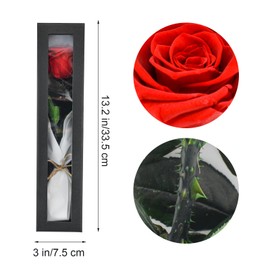 Bacucine Preserved Flowers Gifts for Women Forever Flower Eternal Rose Birthday Gifts for Wife Grandma Valentines Day Gifts for Her Girlfriend