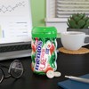 Mentos Pure Fresh SugarFree Chewing Gum with Xylitol , Candy