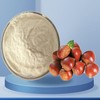 Chestnut Extract Powder 100g Sample