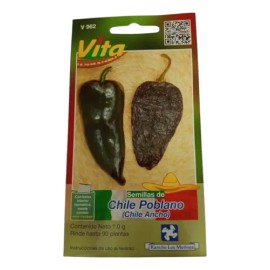 Semillas De Chile Poblano Para Sembrar