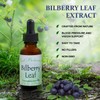 Best Botanicals Bilberry Leaf Extract 1 oz.