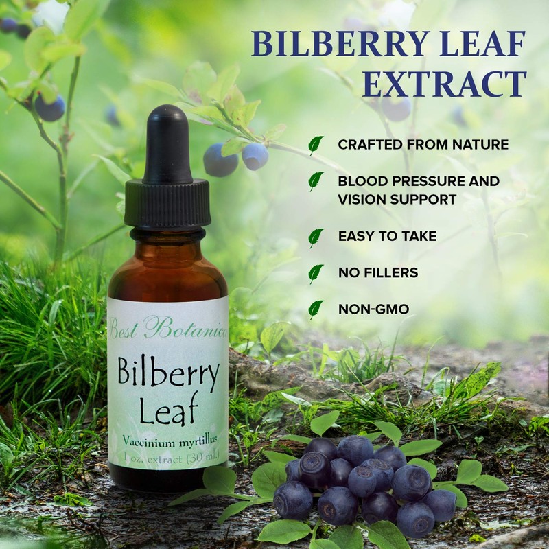 Best Botanicals Bilberry Leaf Extract 1 oz.