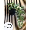 Acoustic Panel Plant Ring V2 Large Black Drill Free Mounting