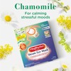 King Kao MEGURISM Health Care Steam Warm Eye Mask Chamomile12