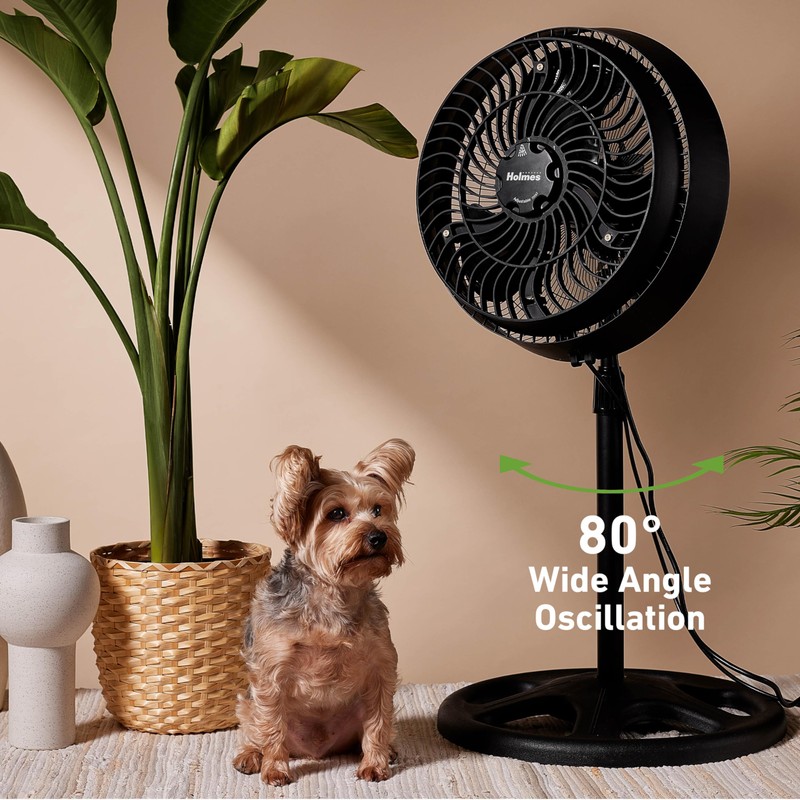 HOLMES 16" Outdoor Misting Stand Fan, Hose Connection, 3 Speeds,