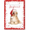 doodlecards Boyfriend Christmas Card Dog with Santa Hat Medium Size