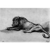 Lion Resting by Rembrandt