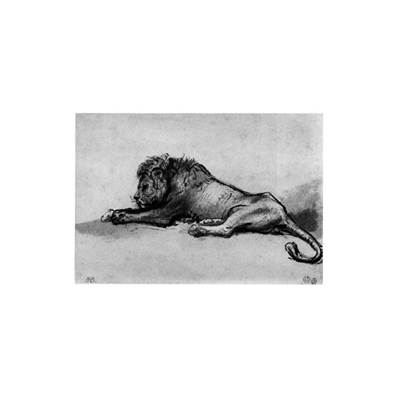 Lion Resting by Rembrandt