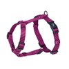 Nobby Dog Harness - Classic