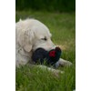 Petface Squeaky Pheasant Plush Dog Toy