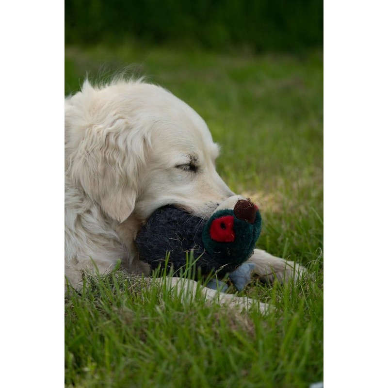 Petface Squeaky Pheasant Plush Dog Toy