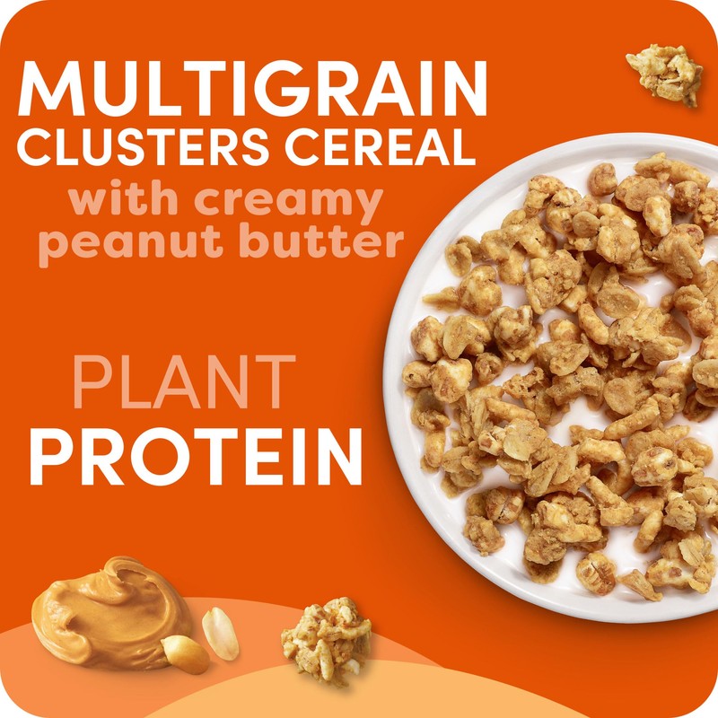 Kashi GO Protein Cereal, 10g Protein, 10g Fiber, Variety Pack