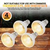 CALPALMY (4-Pack 100W Reptile Heat Lamp Bulbs - UVA Daylight