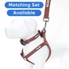 Pawtitas 6 FT Pet Puppy Leash Reflective Dog Leash Comfortable