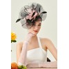 BABEYOND Fascinator Hat Veil Feather Fascinators Hair Clip Tea Party