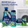 Downy Infusions In-Wash Laundry Scent Booster Beads, REFRESH, Botanical Florals