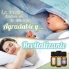 MEVA kit de 10 aceites aromaterapia difusor de aromas humificador