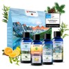 Veddelholzer Organic Sauna Infusion Gift Set 4 x 100 ml