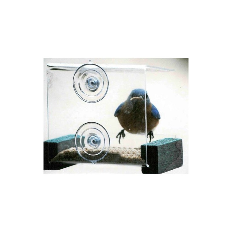 Songbird Essentials Mini Clear Window Mounted Bird Feeder with Green