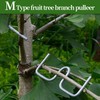 ZHAO GE Pack of 33 Branch Supports for Fruit Trees,