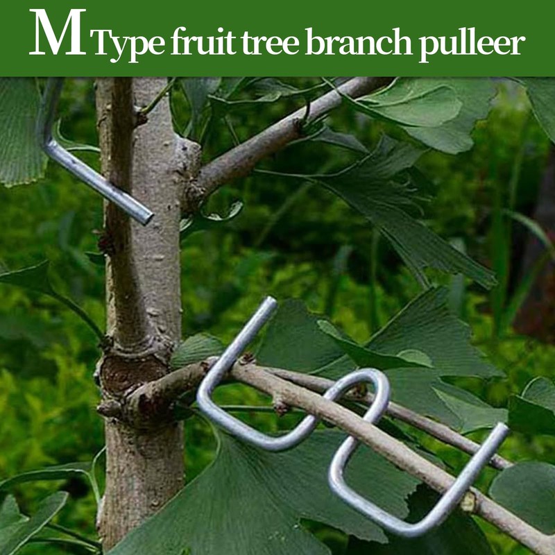 ZHAO GE Pack of 33 Branch Supports for Fruit Trees,