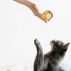 Lotsdonxia 4 Pcs Sisal Cat Toy Balls, Interactive Pet Rolling