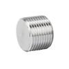 Avanty Stainless Steel 304 Forged Pipe Fitting, Socket Hex Head