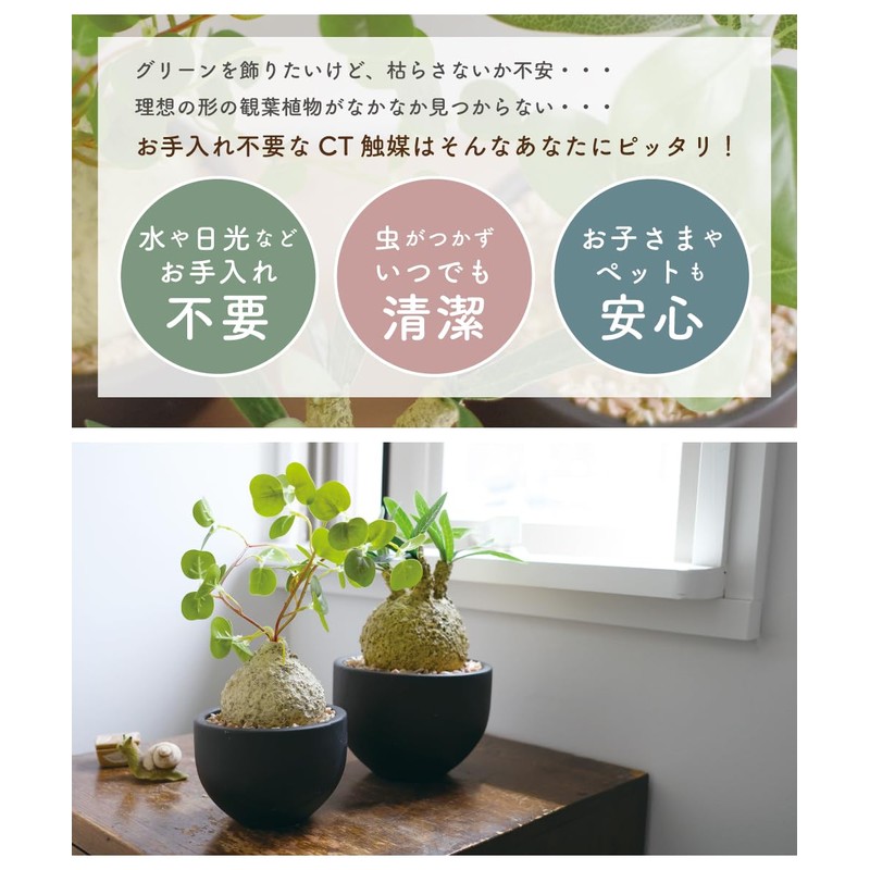 Fake Green Glacilis Codex Eklia Greenery Life Deodorizing Artificial Green