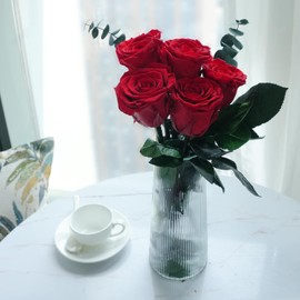 Yamonic Infinity Rose with Stem Gifts for Women, Real Rose Birthday Gift for Women, Eternal Rose in Gift Box, Preserved Flower for Christmas, Decorative Gift, Gifts for Mum, 5 Roses