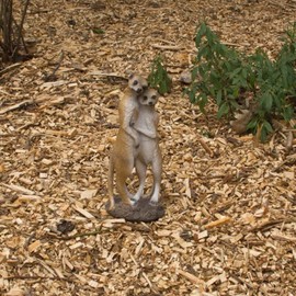 VERDOBA - Pair of Meerkat Figures Made of Resin - Weatherproof Garden Figures for Outdoor Use Large - Hand-Painted Garden Figurine - Decorative Garden Figures for Outdoor Use