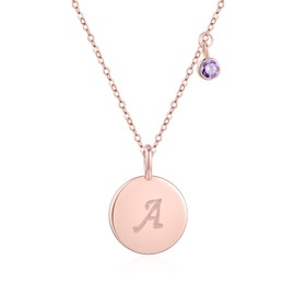 TwoAnts Initials Necklace 925 Sterling Silver Rose Gold A initial Pendant Necklace Amethyst Necklaces Initial Jewellry Gift for Women