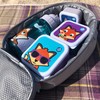 TUM TUM Children's Lunch Box Set – Square Lunch Boxes