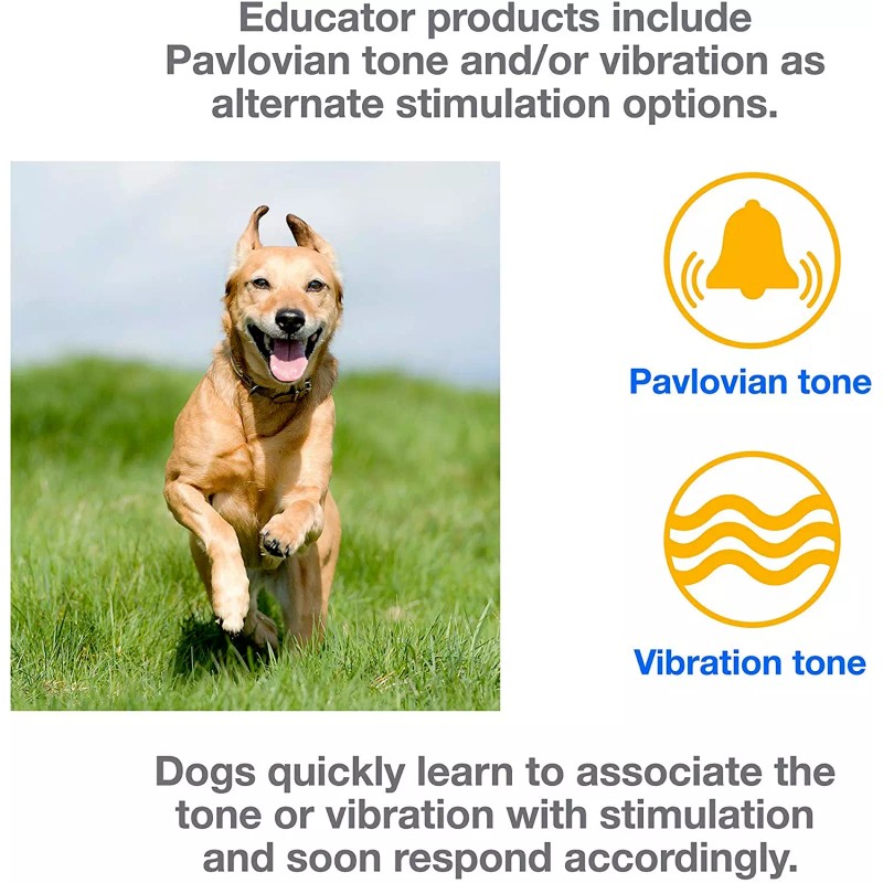 E-Collar Technologies ET-300/302 Replacement Transmitter ONLY IN 6 Colors -