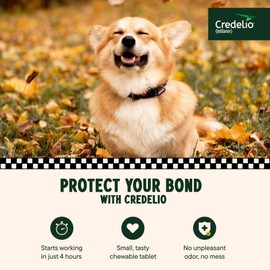 Credelio (lotilaner) Tick & Flea Treatment + Flea Infestation Protection for Dogs 12.1-25.0 lbs. (1 Tablet)