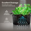 VIVOSUN 1 Pack 100 Gallon Grow Bag, Fabric Pot with