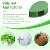 Invisible Wall Vines Fixture Sticky Hook Wire Clips Climbing Plants