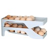 Refrigerator Egg Tray | Large Capacity Egg Rack Auto Rolling