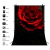 Generic Black Red Rose Texture Backdrop Red Flowers Abstract Portrait