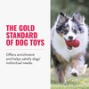 KONG Classic Stuffable Dog Toy - Fetch & Chew Toy