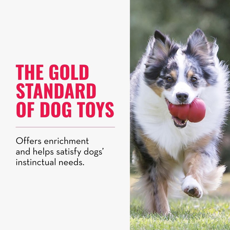KONG Classic Stuffable Dog Toy - Fetch & Chew Toy