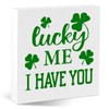 St. Patricks Day Decor Irish Blessing Plaque Sign Lucky Me