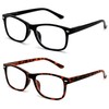 2 Pairs Classic Modern Rectangular Lightweight Reading Glasses - Spring