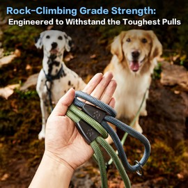 PawsPassion Rope Dog Leash 6 FT, 2-in-1 Heavy Duty Dog Leash with Seat Belt Buckle, Tangle Free 360° Swivel Aviation Aluminum Carabiner, All Metal Hardware, Alloy O-Ring (Nightfall)