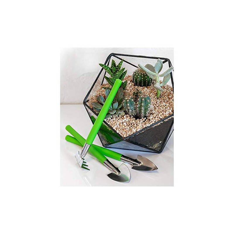 Burgon & Ball Ltd GIG/HTSET Houseplant & Terrarium Tool Set