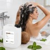 Shampoo A Granel Biodegradable Coco Menta 10 Lt-sin Sulfatos