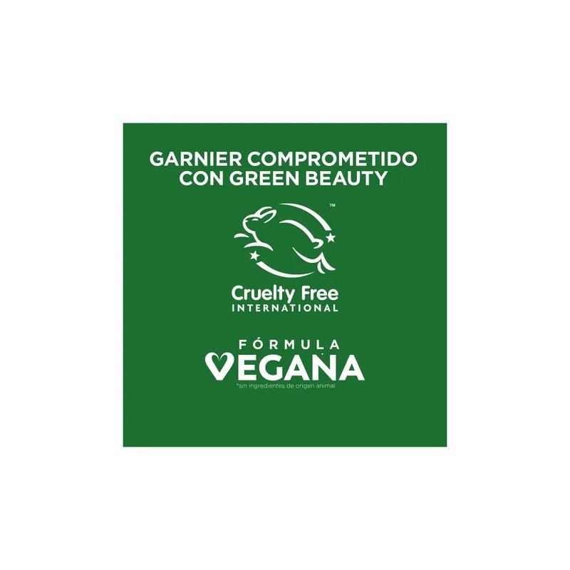 Garnier Fructis Hair Food Piña Shampoo