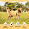 wishkit Chaleco para Perro, Playera de algodón Estampada para Perro,