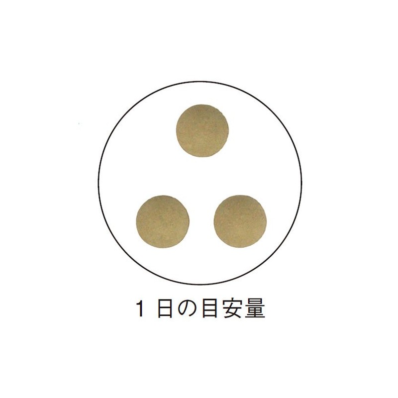 インシップ プロポリス粒 250mg×90粒 1か月分