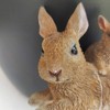 Vivid Arts Plant-Pals (Mother/Baby Rabbit)