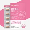 활성엽산 800 60정 임산부 임신초기 임신준비 영양제 Active Folate 800